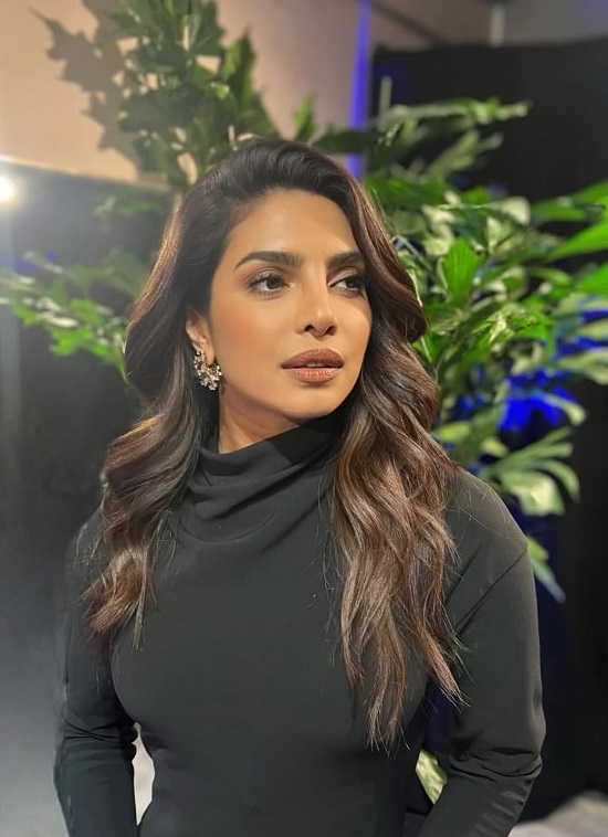 أحمر شفاه  بني اللون