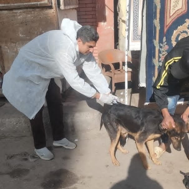 التحصين للكلاب