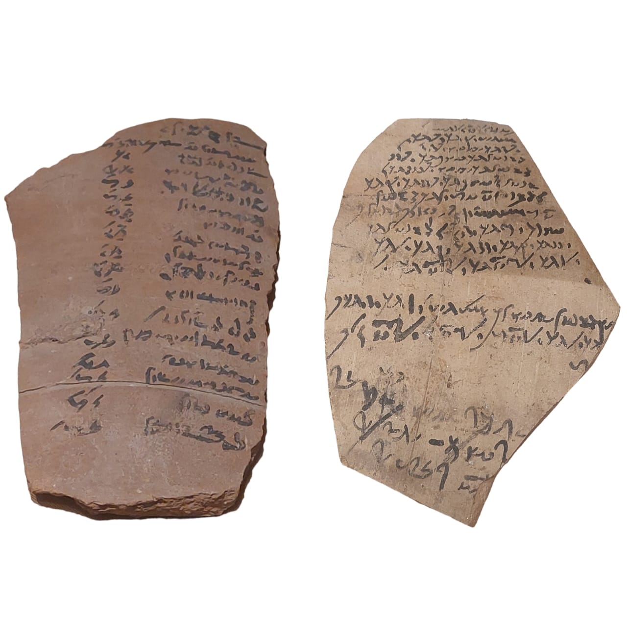 WhatsApp Image 2026-01-04 at 10.55.16 AM (2)