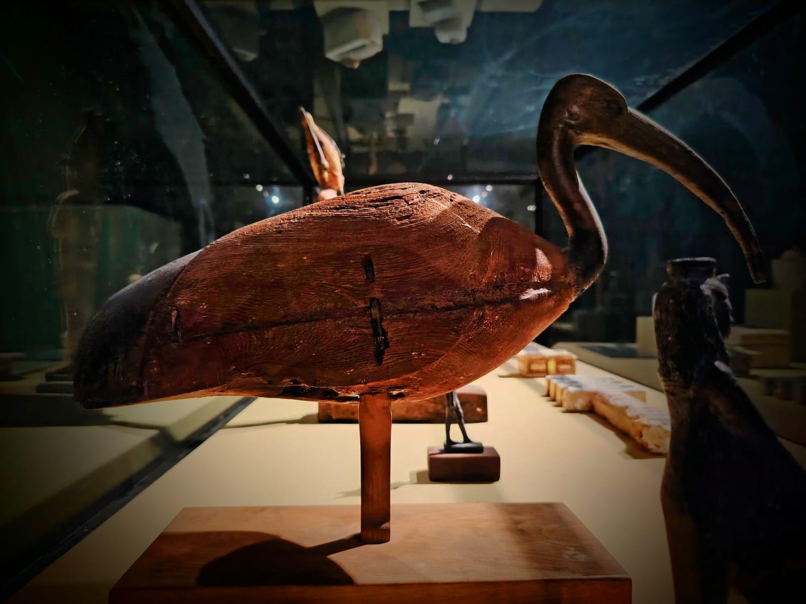 WhatsApp Image 2026-01-04 at 10.55.15 AM WhatsApp Image 2026-01-04 at 10.55.15 AM