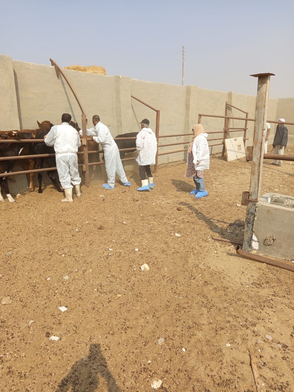 إنجازات مبادرة حياة كريمة بالفيوم (1)