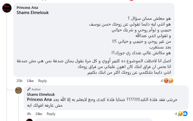 38581-متابعة-لـ-شمس-البارودي