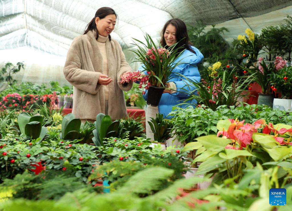 الزراعة فى الصين (2)