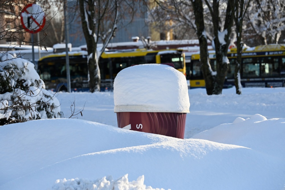  حديقةً مُغطاةً بالثلوج في وارسو، بولندا (2)