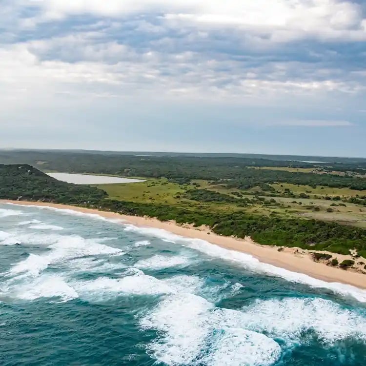 منتزه مابوتو الوطني