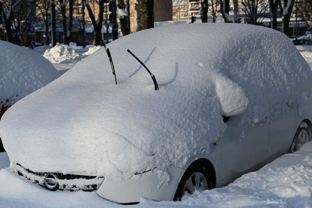  حديقةً مُغطاةً بالثلوج في وارسو، بولندا (9)