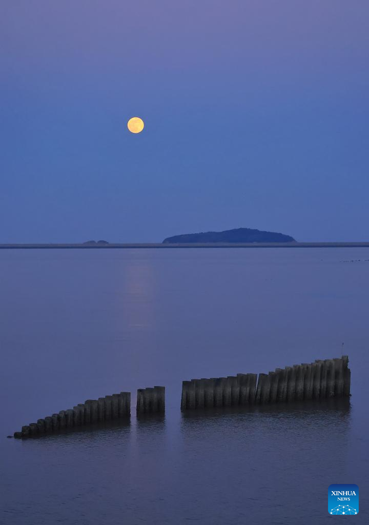 20260103758521b2f09144b0b3e1c796bd3e2995_20260103adeb71ada4954c1590441f61b5c1a943 - Copy