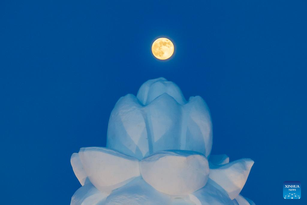 أول قمر عملاق في عام 2026 يظهر في السماء (5) - Copy