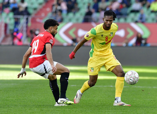 مصر وبنين (15)