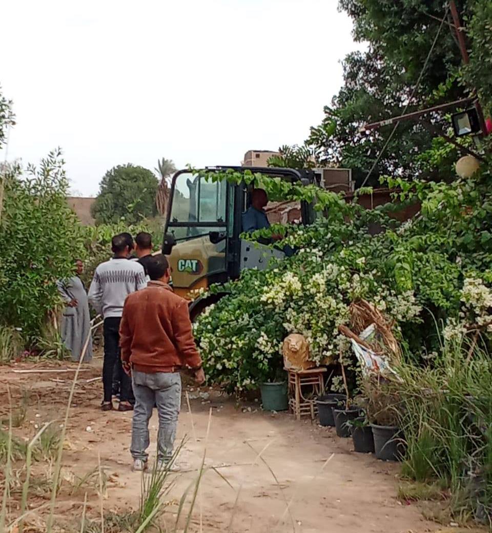 تنفيذ أكثر من 1,900 حقل إرشادي للقمح ضمن الحملات القومية