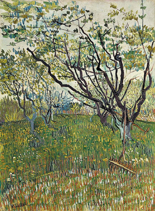 لوحة فان جوخ