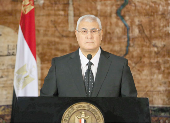 الرئيس المصرى السابق المستشار عدلى منصور الرئيس المصرى السابق المستشار عدلى منصور