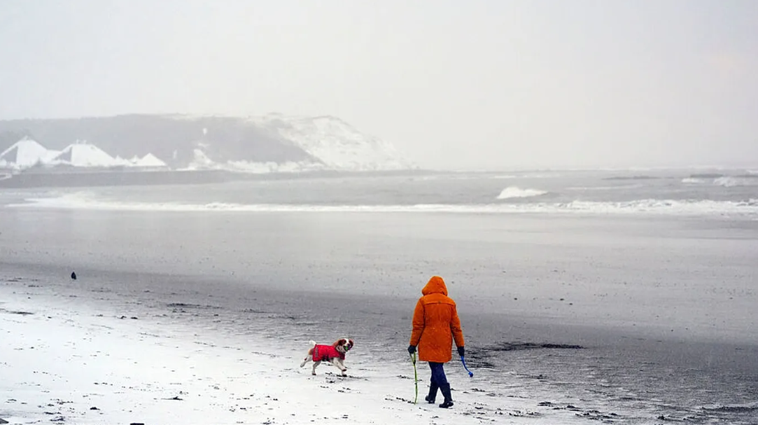 الثلوج تكسي المدينة