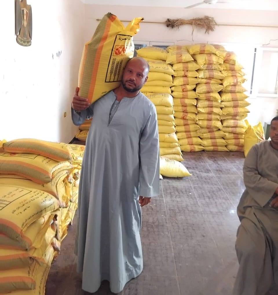 دعم المزارعين بتوزيع 960 جوال تقاوي قمح معتمدة