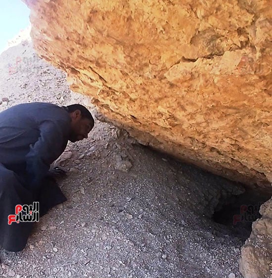 تفقد-أماكن-تواجد-ذئاب