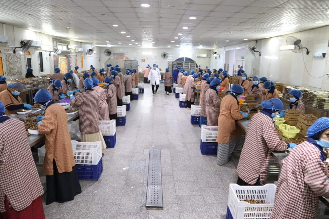 الوادى الجديد اكبر مننج للتمور فى مصر والشرق الأوسط الوادى الجديد اكبر مننج للتمور فى مصر والشرق الأوسط