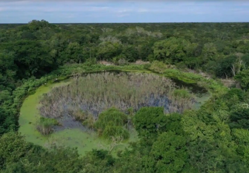 موقع المايا المحفوظ في تيكال دي فينيجاس موقع المايا المحفوظ في تيكال دي فينيجاس