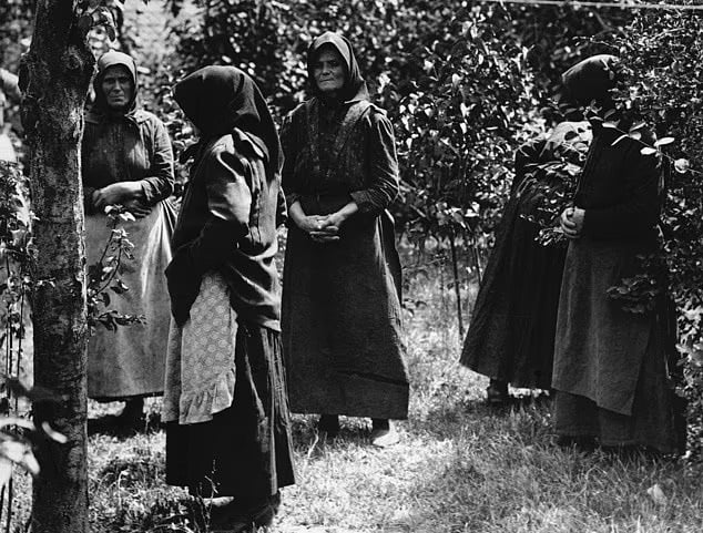 النساء في المجر النساء في المجر