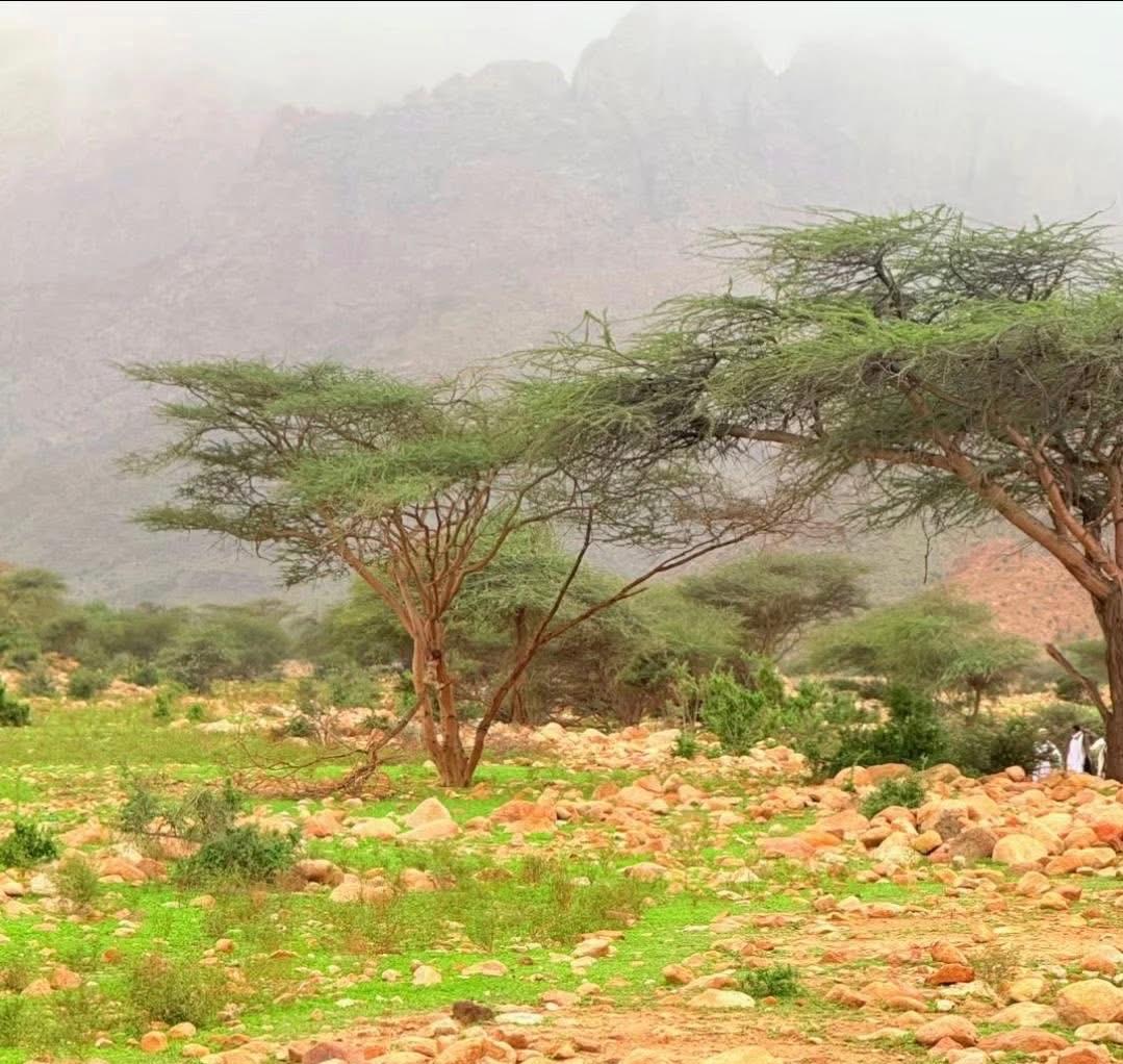 انتشار،الخضرة،فى الاودية