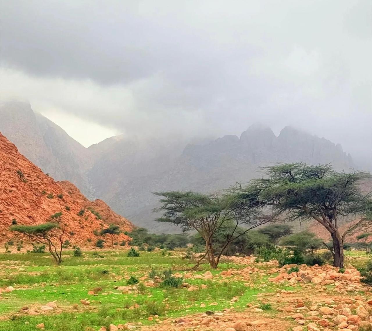 أودية الجنوب فى الشتاء