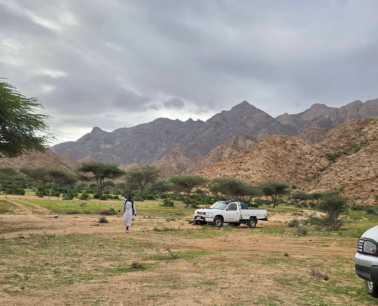 الطبيعة الخلابة فى الجنوب 