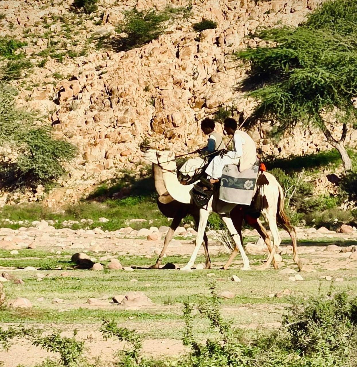 اهالى الجنوب