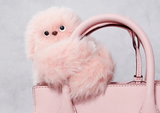 روبوت ميرومى روبوت ميرومى