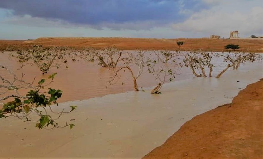 تنمية وتاهيل وديان مطروح بحصاد الامطار