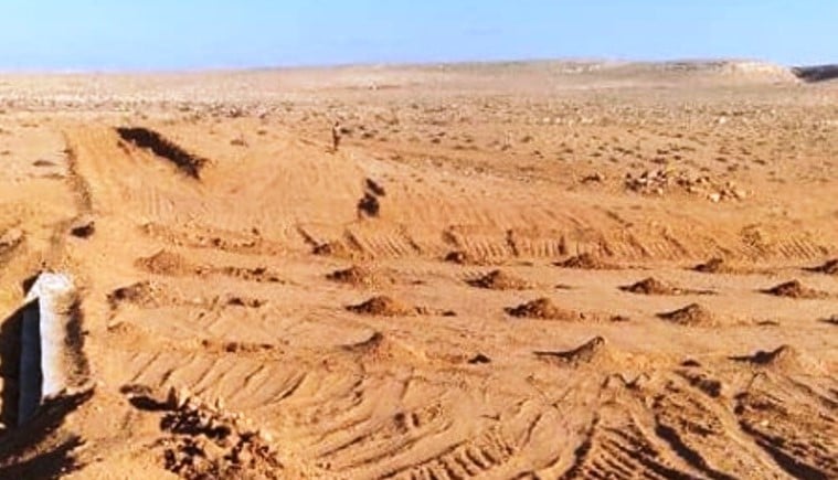 استصلاح احد وديان صحراء مطروح