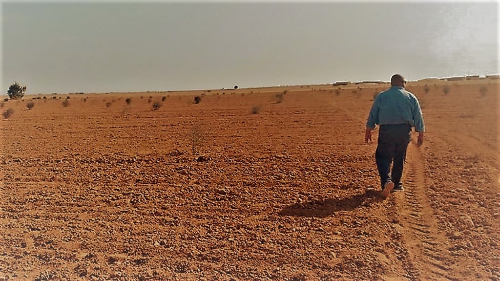 اعداد الوديان للزراعة المطرية - مطروح