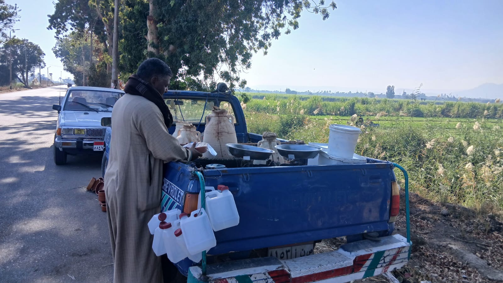 عسل اسود وجبنة قديمة عسل اسود وجبنة قديمة