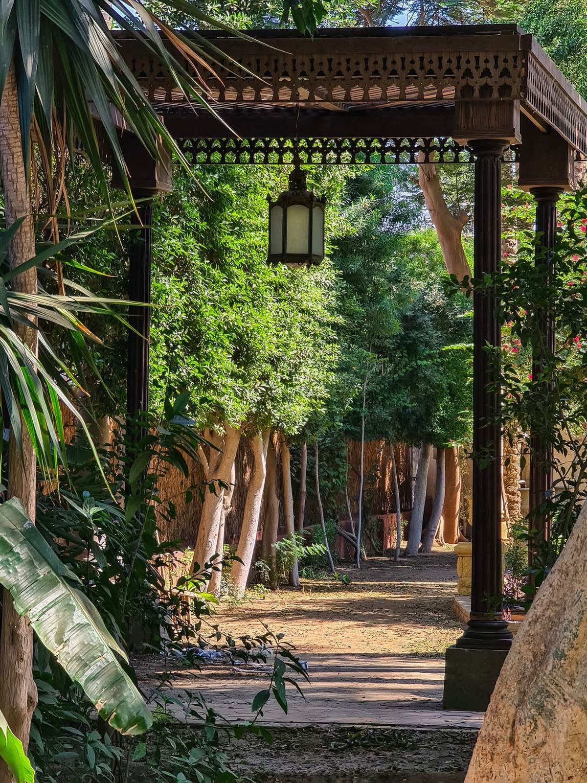 WhatsApp Image 2026-01-08 at 11.49.35 AM