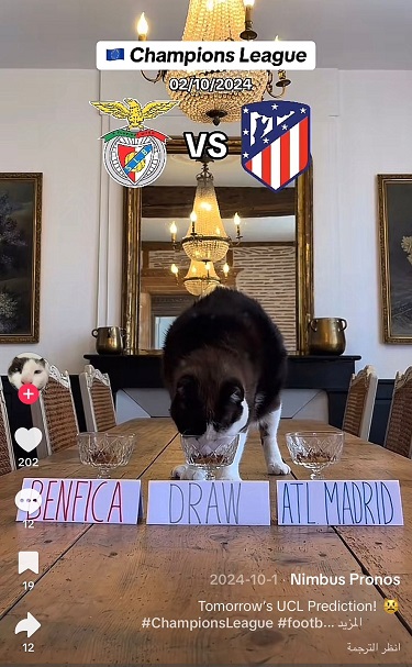 دوري أبطال أوروبا