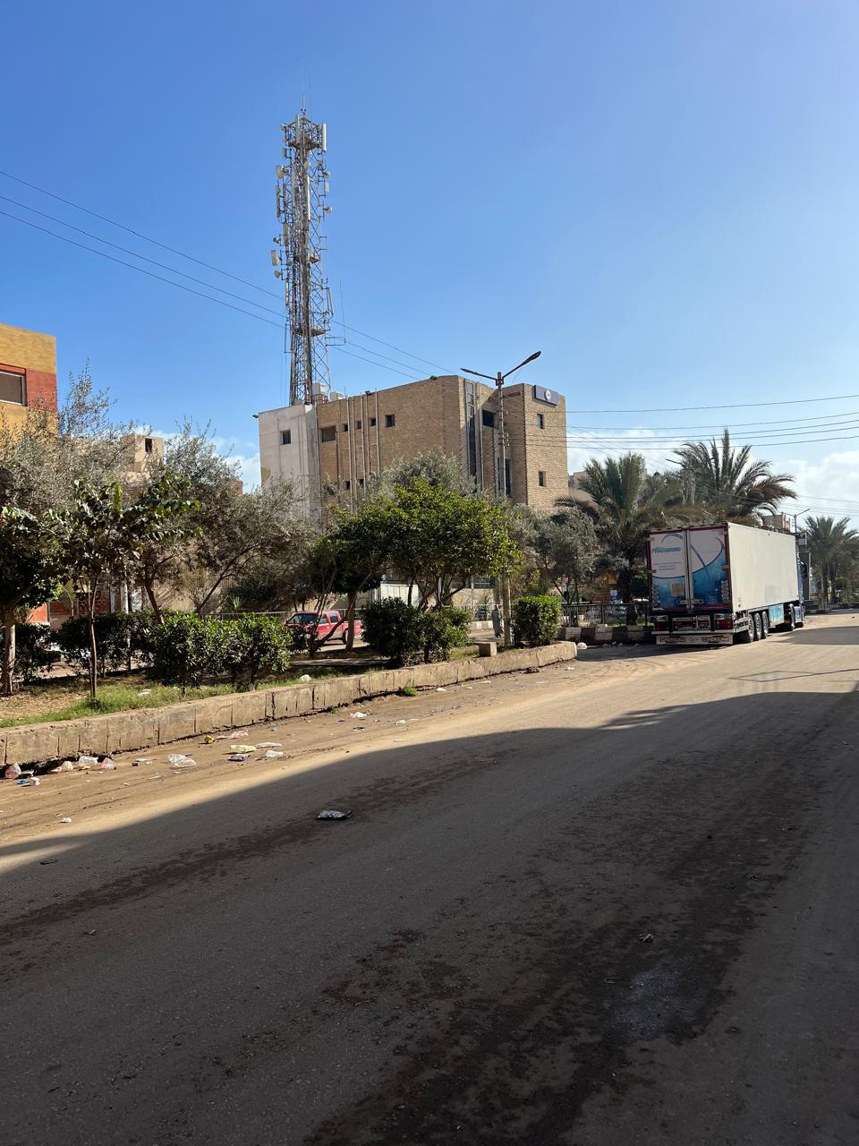 أجواء باردة وشمس ساطعة في الدقهلية