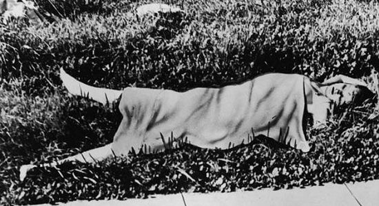 قتل مصاصي الدماء لأليزابيث شورت