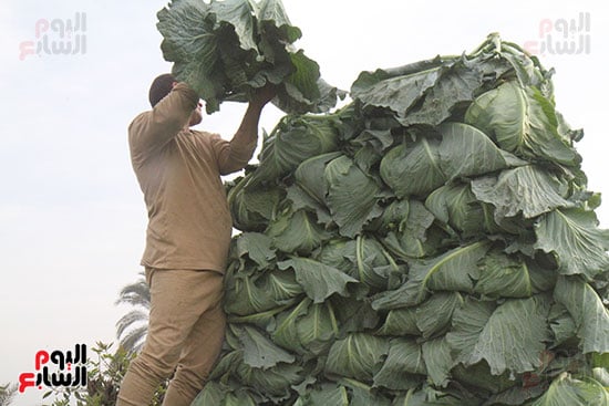 من الأرض للعربية من الأرض للعربية