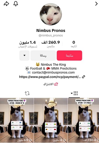 نيمبوس القط