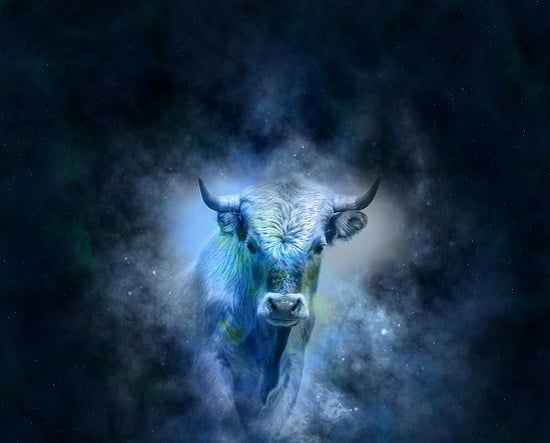 تفسير رؤية الثور في الحلم