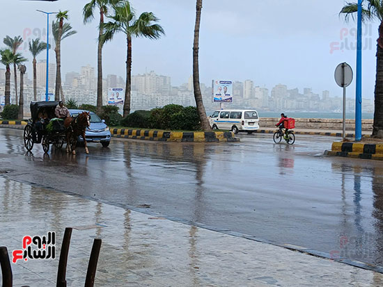 امطار-غزيرة--في-الإسكندرية