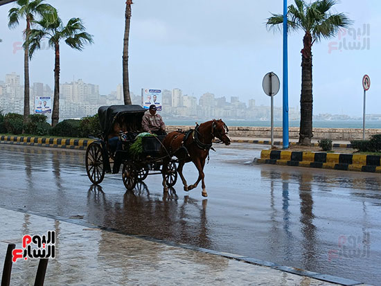 طقس-الإسكندرية-اول-ايام-نوة-الفيضة-الكبري