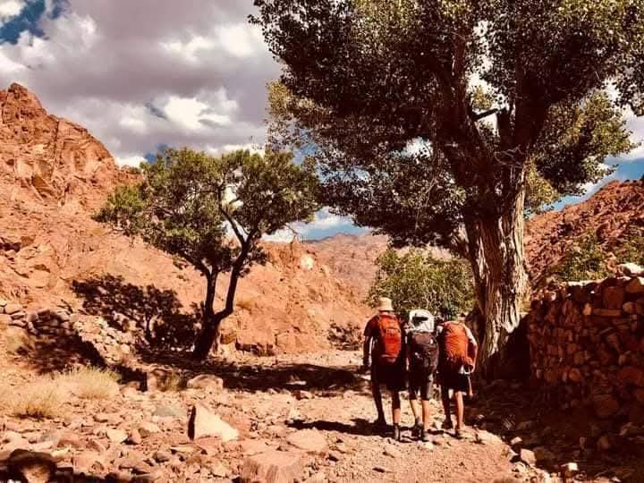الزائرين على جبل موسى الزائرين على جبل موسى