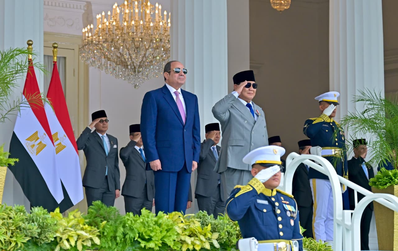 الرئيس السيسى (8)