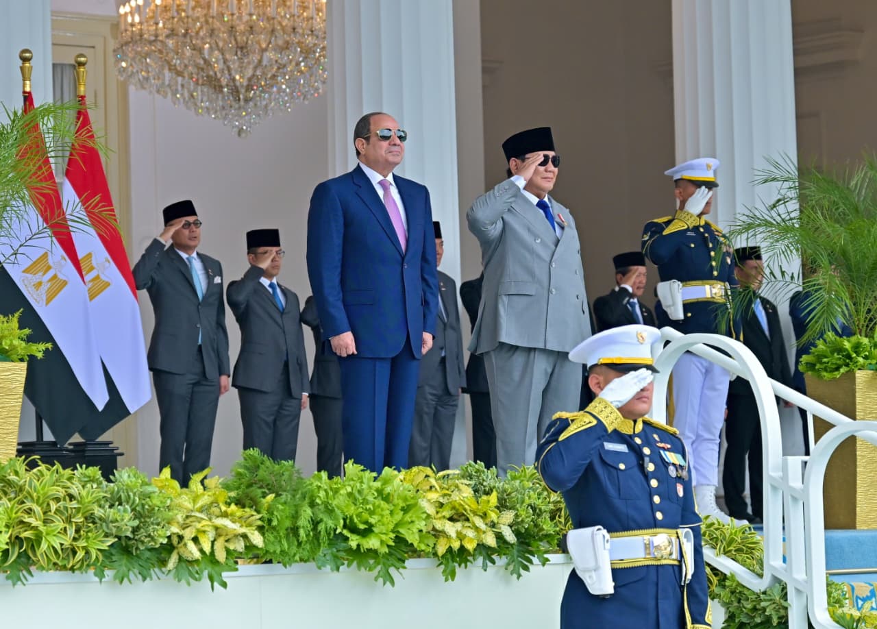 الرئيس السيسى (3)