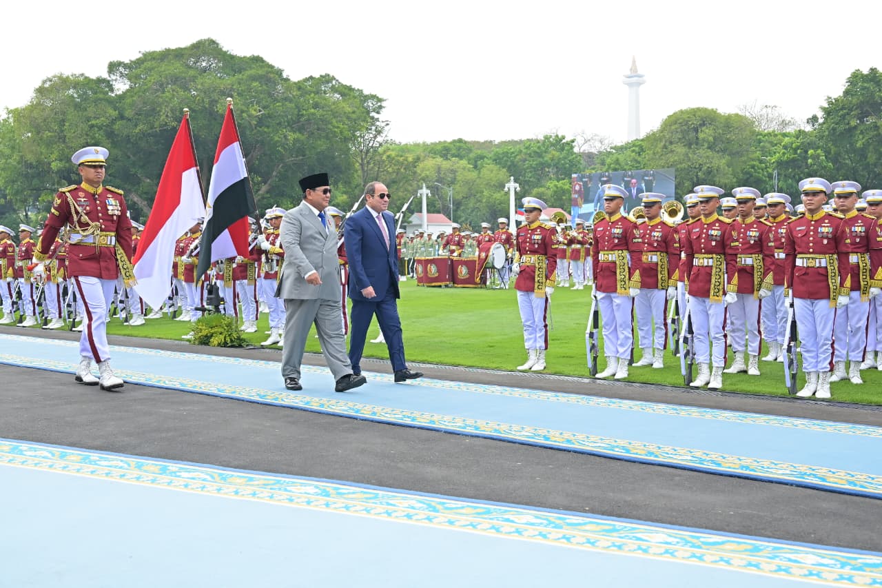 الرئيس السيسى (4)
