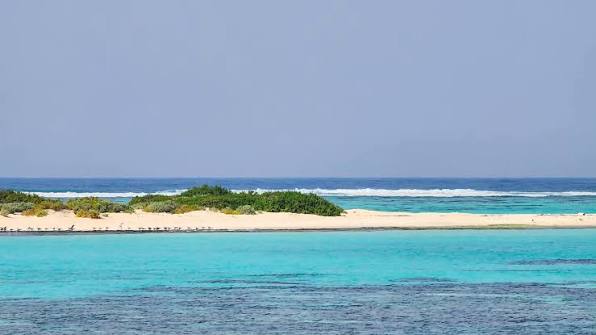 جزيرة شواريت (1)