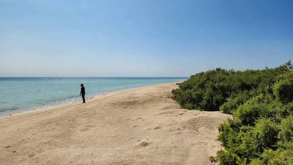 جزيرة شواريت (1)