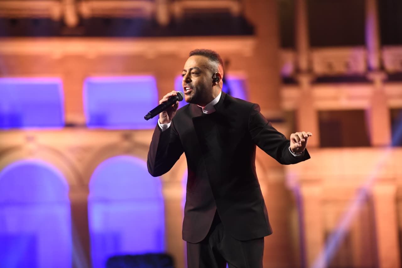 الفنان تامر عاشور