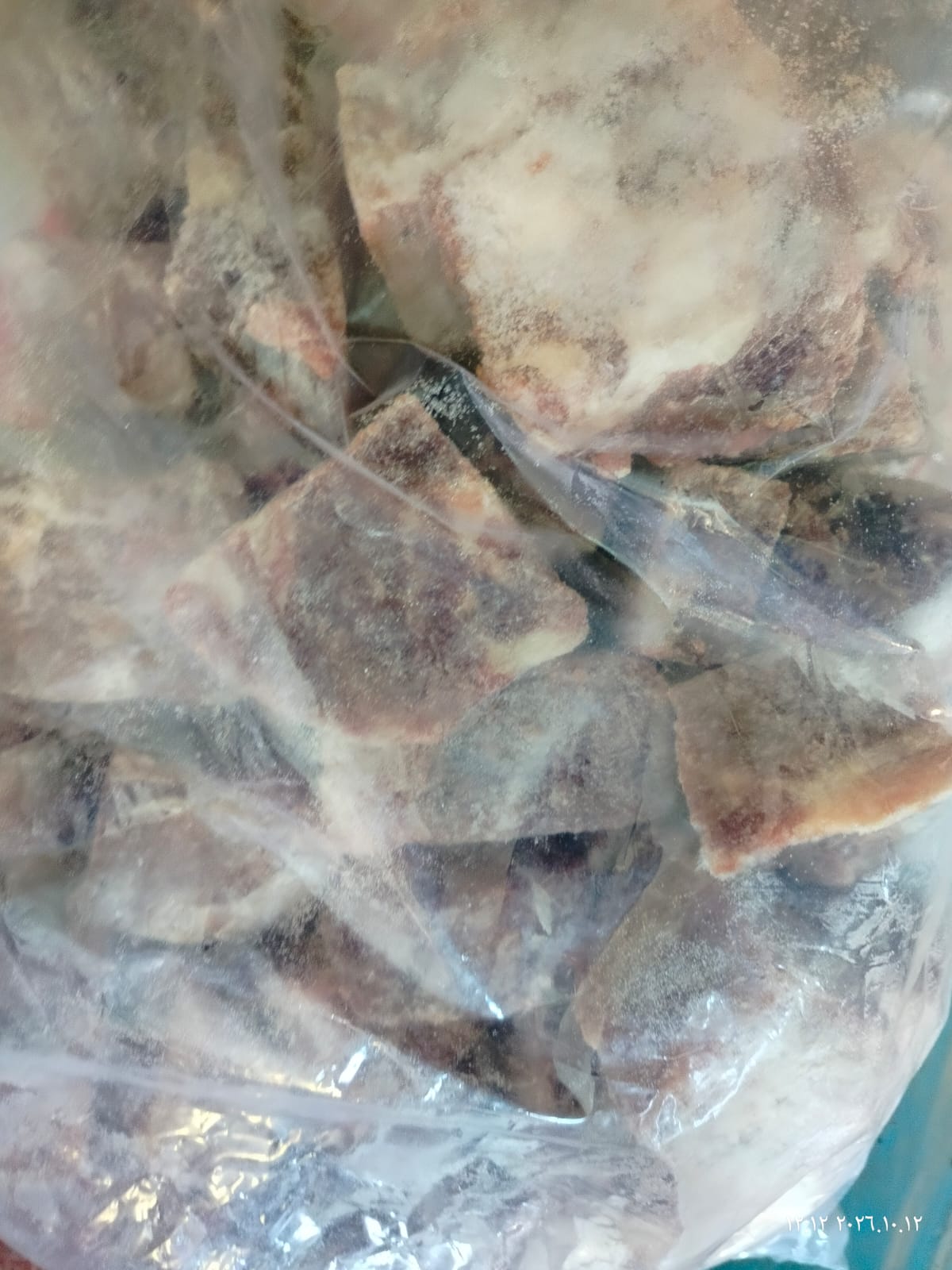 جانب من المضبوطات جانب من المضبوطات