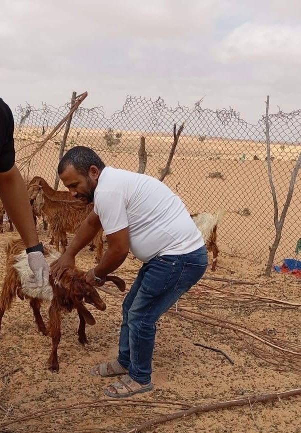 إهتمام بدعم المزارعين