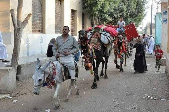 طنطا تستقبل آلاف المريدين.. احتفالا بمولد السيد البدوى (4)